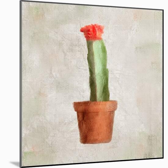 Potted Life 1-Kimberly Allen-Mounted Art Print