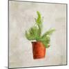 Potted Life 2-Kimberly Allen-Mounted Art Print