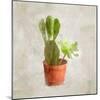 Potted Life 3-Kimberly Allen-Mounted Art Print