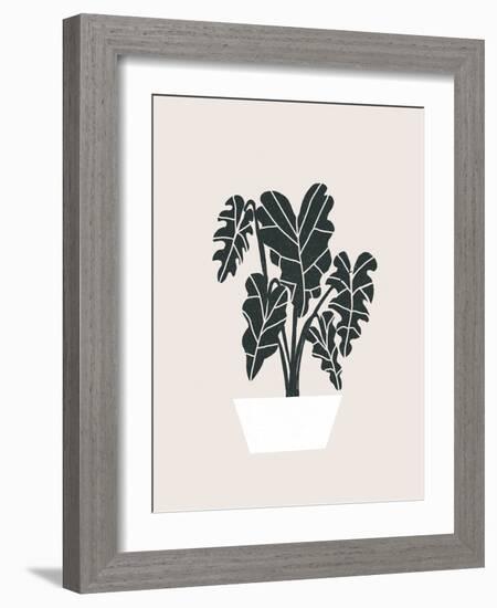Potted Monsterra Plant 5-null-Framed Art Print