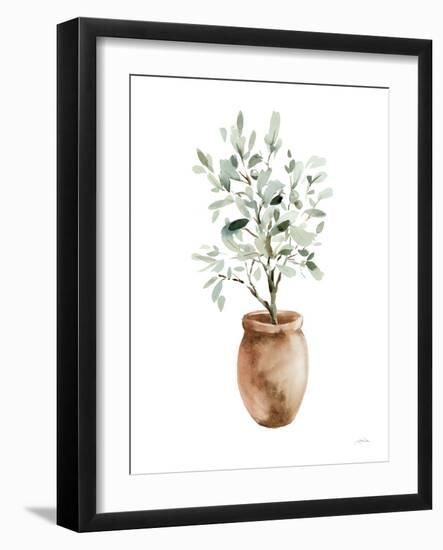 Potted Olive Tree-Katrina Pete-Framed Art Print