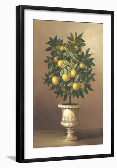 Potted Orange Tree-Welby-Framed Art Print