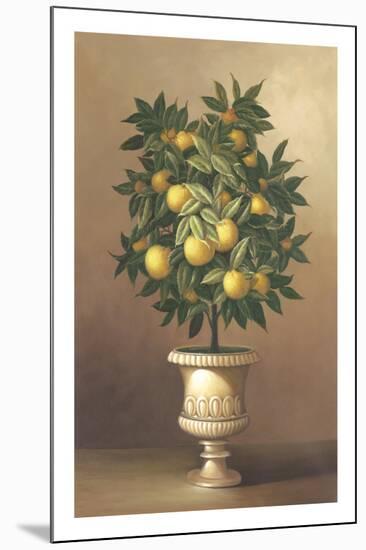 Potted Orange Tree-Welby-Mounted Art Print