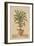 Potted Palm I-Welby-Framed Art Print