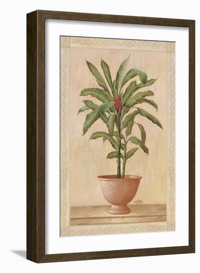 Potted Palm I-Welby-Framed Art Print