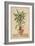 Potted Palm II-Welby-Framed Art Print