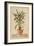 Potted Palm II-Welby-Framed Art Print