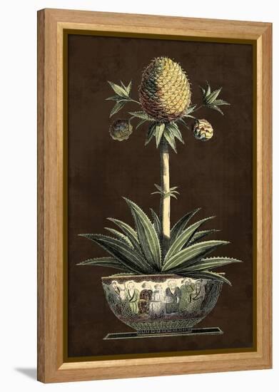Potted Pineapple I-Vision Studio-Framed Stretched Canvas