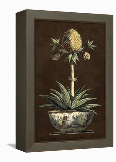 Potted Pineapple I-Vision Studio-Framed Stretched Canvas