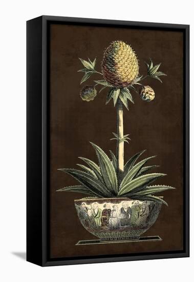 Potted Pineapple I-Vision Studio-Framed Stretched Canvas