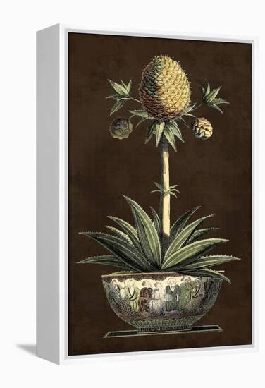 Potted Pineapple I-Vision Studio-Framed Stretched Canvas