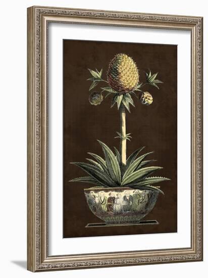 Potted Pineapple I-Vision Studio-Framed Art Print