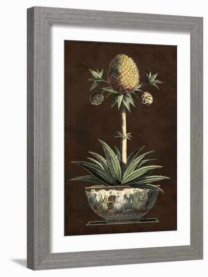 Potted Pineapple I-Vision Studio-Framed Art Print