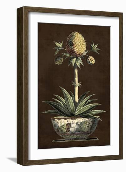 Potted Pineapple I-Vision Studio-Framed Art Print