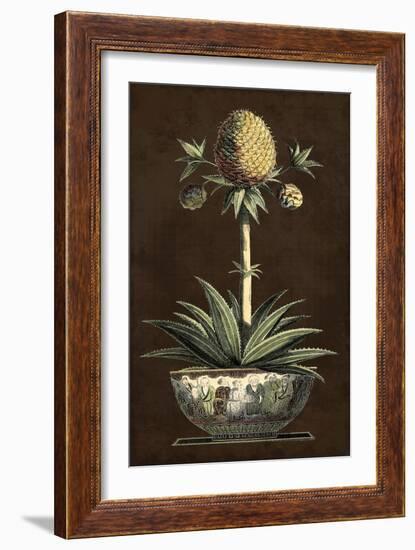 Potted Pineapple I-Vision Studio-Framed Art Print