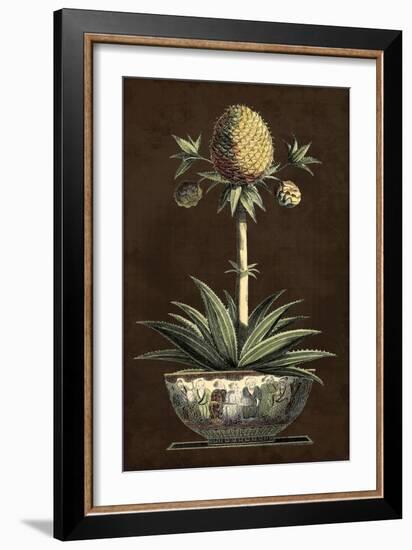 Potted Pineapple I-Vision Studio-Framed Art Print