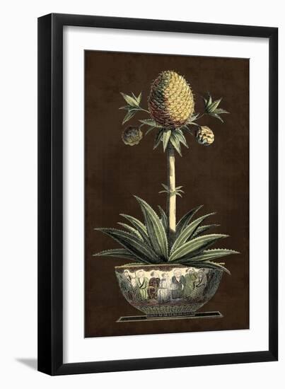 Potted Pineapple I-Vision Studio-Framed Art Print