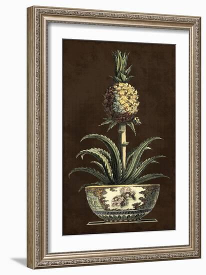 Potted Pineapple II-Vision Studio-Framed Art Print