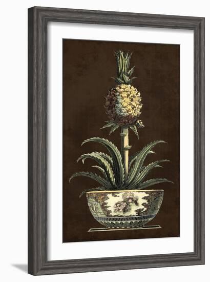 Potted Pineapple II-Vision Studio-Framed Art Print