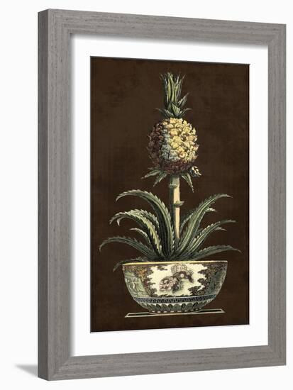 Potted Pineapple II-Vision Studio-Framed Art Print