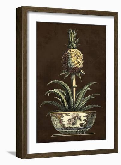 Potted Pineapple II-Vision Studio-Framed Art Print