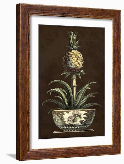 Potted Pineapple II-Vision Studio-Framed Art Print