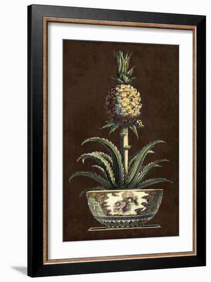 Potted Pineapple II-Vision Studio-Framed Art Print