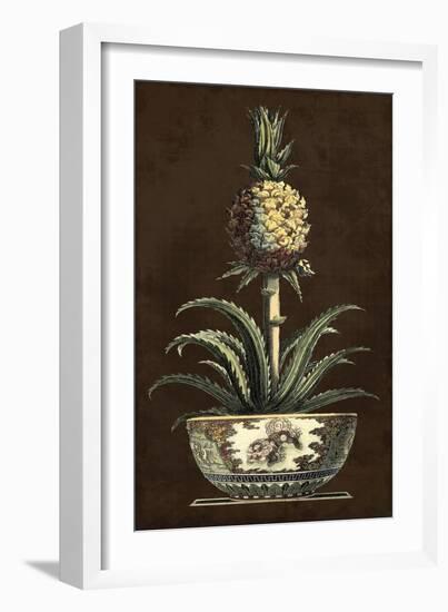 Potted Pineapple II-Vision Studio-Framed Art Print