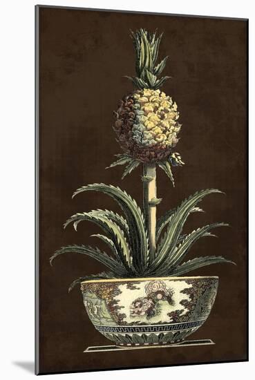 Potted Pineapple II-Vision Studio-Mounted Art Print