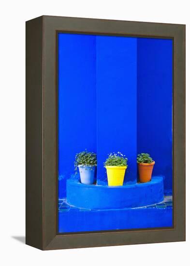 Potted Plants and Bright Blue Paintwork-Matthew Williams-Ellis-Framed Premier Image Canvas