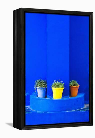 Potted Plants and Bright Blue Paintwork-Matthew Williams-Ellis-Framed Premier Image Canvas