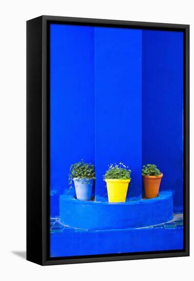 Potted Plants and Bright Blue Paintwork-Matthew Williams-Ellis-Framed Premier Image Canvas