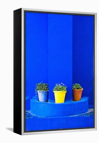 Potted Plants and Bright Blue Paintwork-Matthew Williams-Ellis-Framed Premier Image Canvas