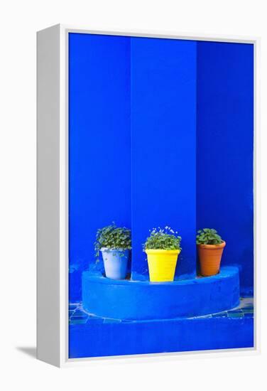 Potted Plants and Bright Blue Paintwork-Matthew Williams-Ellis-Framed Premier Image Canvas