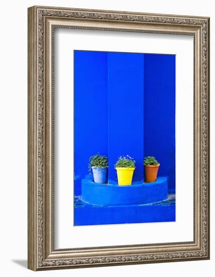 Potted Plants and Bright Blue Paintwork-Matthew Williams-Ellis-Framed Photographic Print