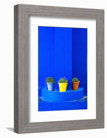 Potted Plants and Bright Blue Paintwork-Matthew Williams-Ellis-Framed Photographic Print