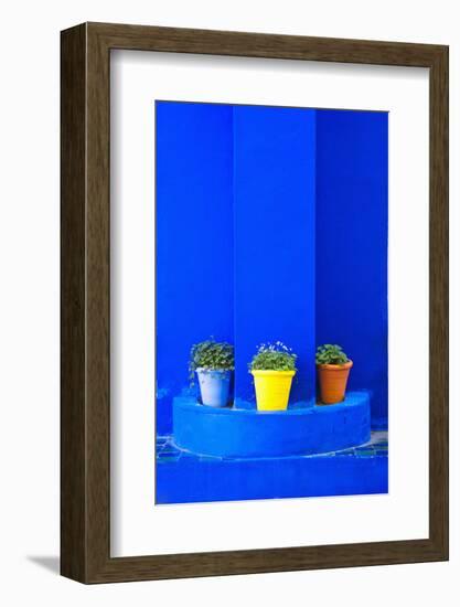 Potted Plants and Bright Blue Paintwork-Matthew Williams-Ellis-Framed Photographic Print