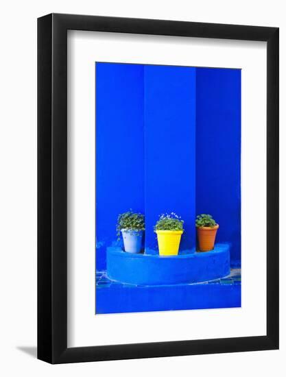 Potted Plants and Bright Blue Paintwork-Matthew Williams-Ellis-Framed Photographic Print