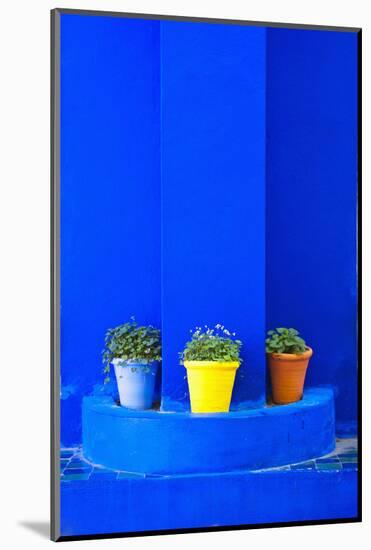Potted Plants and Bright Blue Paintwork-Matthew Williams-Ellis-Mounted Photographic Print