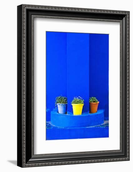 Potted Plants and Bright Blue Paintwork-Matthew Williams-Ellis-Framed Photographic Print