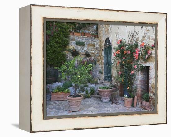 Potted Plants Decorate a Patio in Tuscany, Petroio, Italy-Dennis Flaherty-Framed Premier Image Canvas