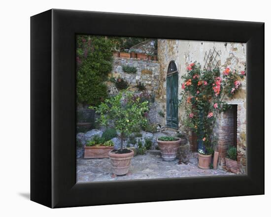 Potted Plants Decorate a Patio in Tuscany, Petroio, Italy-Dennis Flaherty-Framed Premier Image Canvas