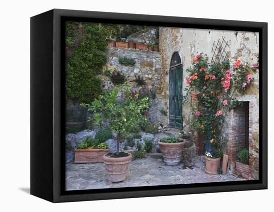 Potted Plants Decorate a Patio in Tuscany, Petroio, Italy-Dennis Flaherty-Framed Premier Image Canvas