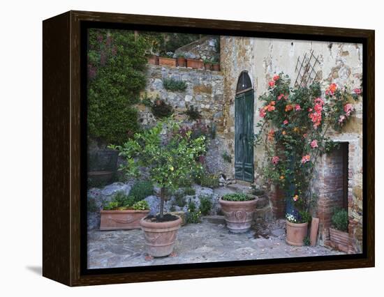 Potted Plants Decorate a Patio in Tuscany, Petroio, Italy-Dennis Flaherty-Framed Premier Image Canvas