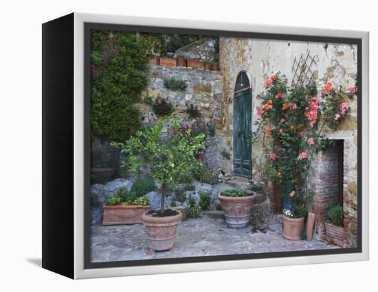 Potted Plants Decorate a Patio in Tuscany, Petroio, Italy-Dennis Flaherty-Framed Premier Image Canvas