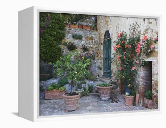 Potted Plants Decorate a Patio in Tuscany, Petroio, Italy-Dennis Flaherty-Framed Premier Image Canvas