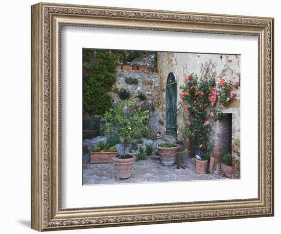 Potted Plants Decorate a Patio in Tuscany, Petroio, Italy-Dennis Flaherty-Framed Photographic Print