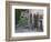 Potted Plants Decorate a Patio in Tuscany, Petroio, Italy-Dennis Flaherty-Framed Photographic Print