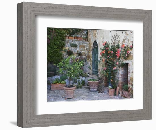 Potted Plants Decorate a Patio in Tuscany, Petroio, Italy-Dennis Flaherty-Framed Photographic Print