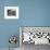 Potted Plants Decorate a Patio in Tuscany, Petroio, Italy-Dennis Flaherty-Framed Photographic Print displayed on a wall